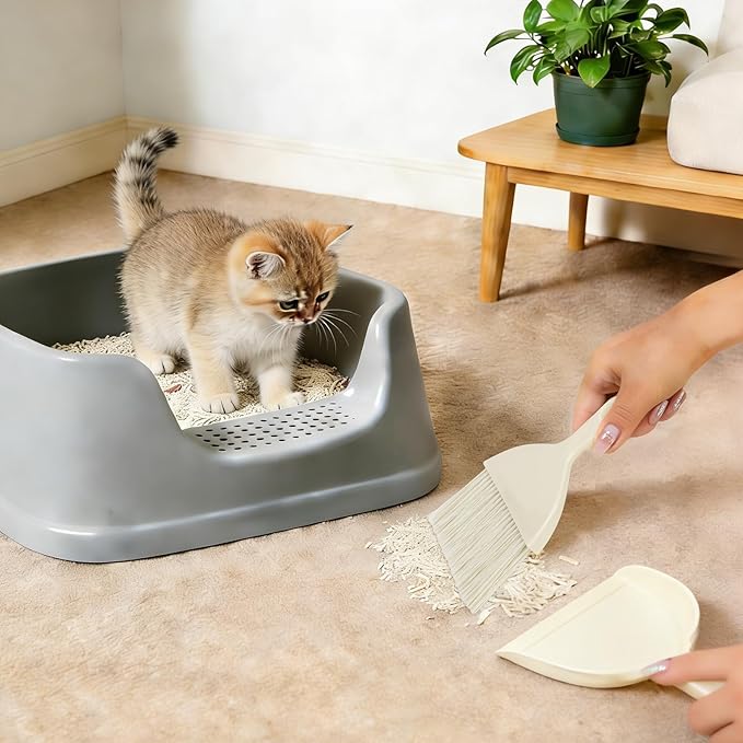 THINKLEARN 2PCS Mini Broom and Dustpan Set, Small Dustpan and Brush, Compact Hand Broom Dust Pan Set for Cleaning, Beige