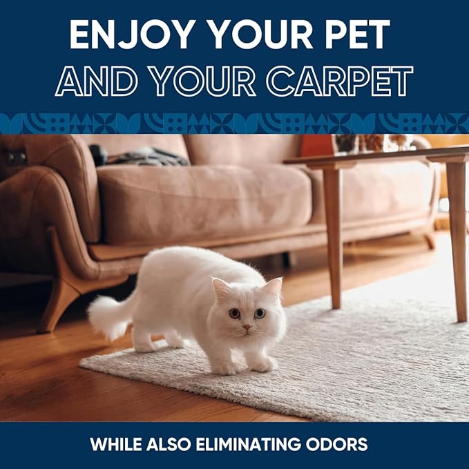 Oxy Pet Carpet Cleaner Spray | Pet Stain Remover for Pet Urine, Cat Pee, Dog Poop | Deep Spot Treating Action on Carpeting, Upholstery, Laundry, Pet Beds & More (32 Fl Oz)