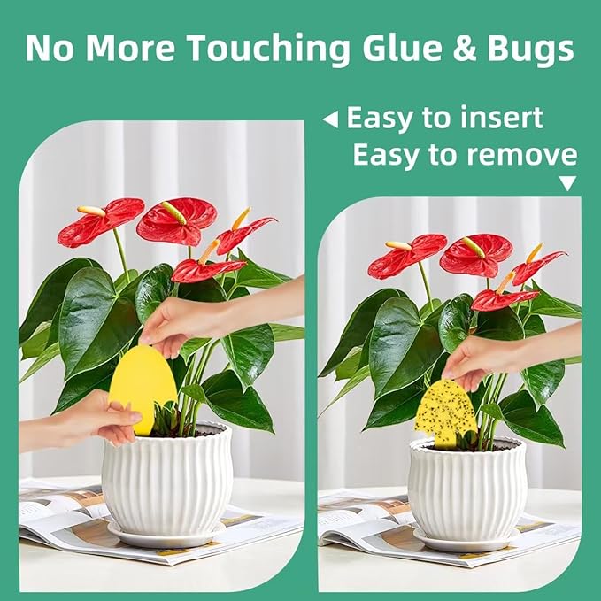 Innovative Ver. 2.0 Yellow Fungus Gnat Traps, Easier to Use, No Touching Glue Or Bugs, 36 Traps,Targets Species for Gnat, Fruit Fly & Pests, Thoughtfully Designed, High Capture Rate, Kid & Pet Safe