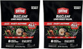 Ortho BugClear Lawn Insect Killer1: Treats up to 16,500 sq. ft., Protect Your Yard & Garden Against Ants, Spiders, Ticks, Armyworms, Fleas & Grubs, 10 lbs. (Pack of 2)