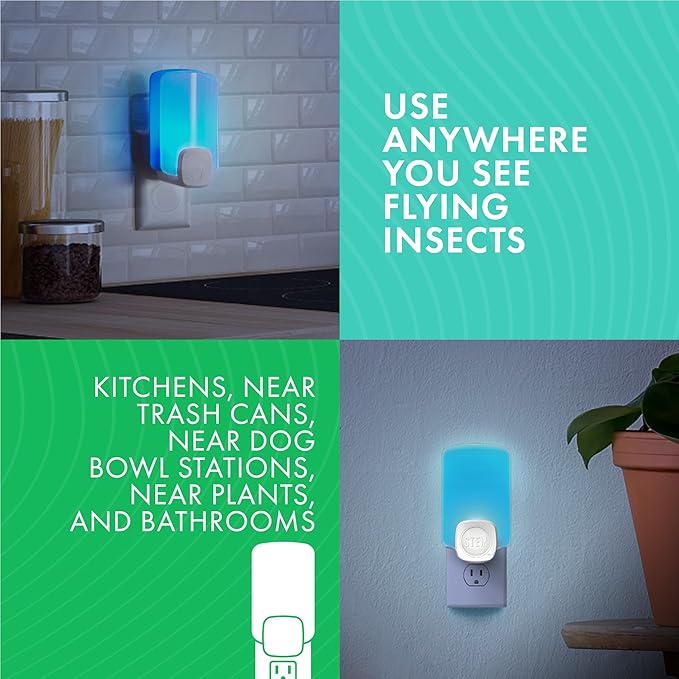 STEM Insect Light Trap Refill Cartridges, Indoor Fruit Fly Trap, Insecticide-Free Pest Control for Home, Attracts and Traps Flying Insects, Official STEM Refills - 8 Count