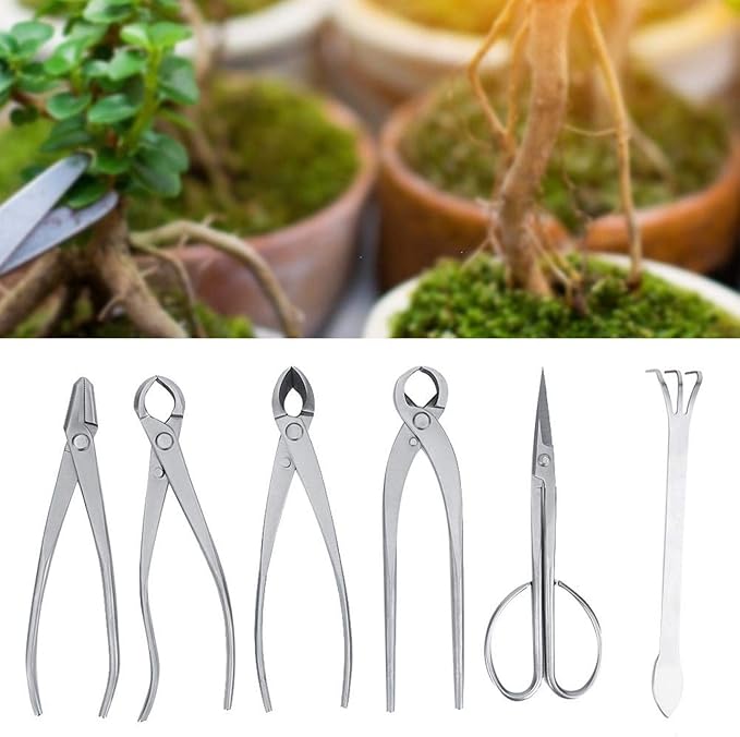 Bonsai Tools Set, 6pcs Stainless Steel Bonsai Garden Plant Tree Scissors Trimming Cutting Tool Set with Storage Bag, Garden Plant Tools