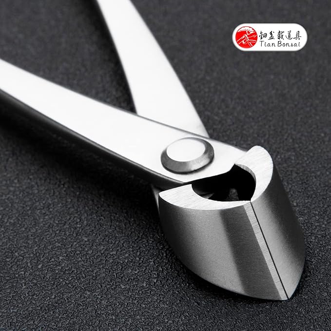 Bonsai Straight Edge Cutter Professional Grade Branch Cutter Alloy Steel Bonsai Tools Equip With Tool Bag (MT-SE-180)