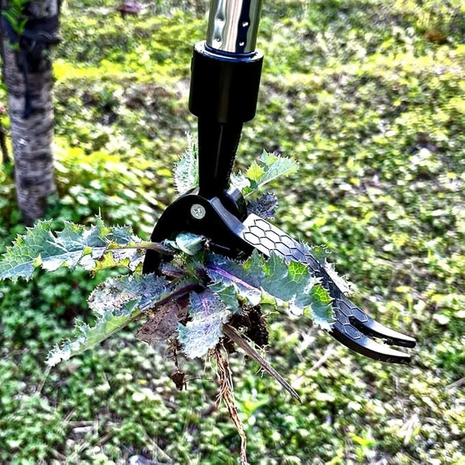 Stand on Weeding Tool, Long Handled Lawn Weeder, Root Removal Tool for Gardening, Yard and Patio Maintenance
