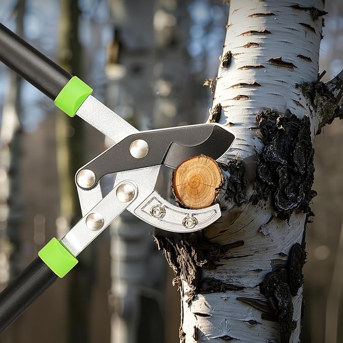 VEVOR Loppers for Tree Trimming, 32 inch Garden Anvil Trimmer with Compound Action, Sharp Steel Blade, Heavy Duty Tree Branch Cutter Up to 2 inch Dia Cut Capacity, Ergonomically Designed Handles