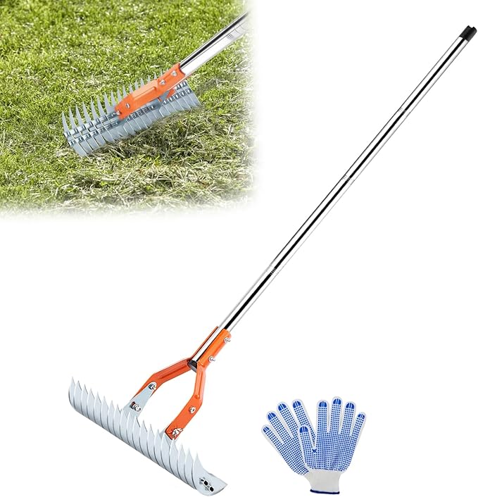Thatch Rake, 15 Inch Lawn Thatching Rake, Heavy-Duty Dethatcher Rake with Gloves, 64 Inch Versatile Grass Grooming Rake for Withered Grass Cleaning Yard Garden Soil Rake