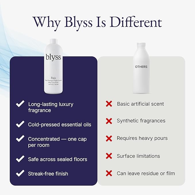 Blyss Official Mop Soap (Baja)
