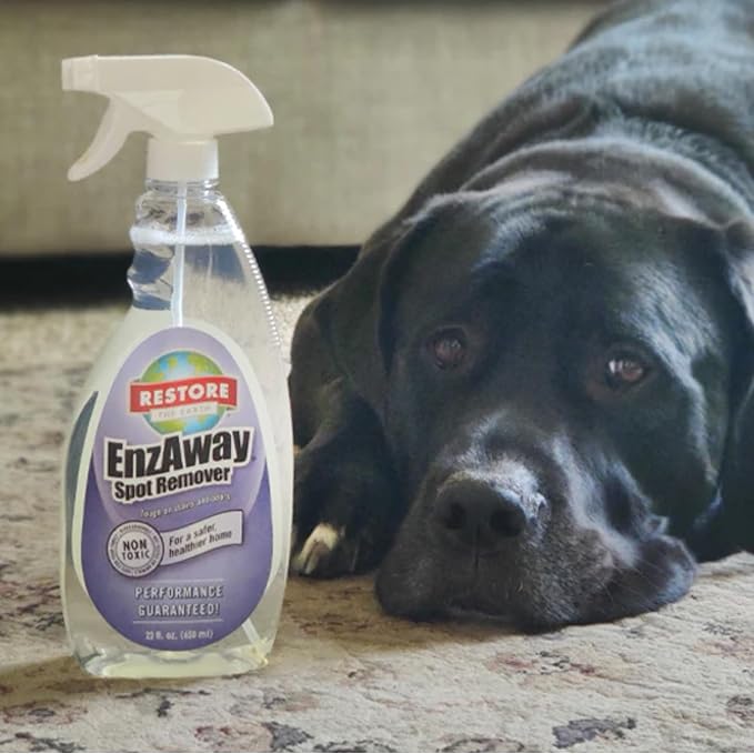 Restore Naturals Enzaway Carpet Spot Cleaner - 22oz - Pet Stain Remover Spray for Carpet - Gentle, Non-Toxic Stain Remover | Cruelty-Free | Made in USA - 2 Pack