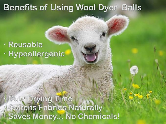 (WB0006-6 Pk Wool Dryer Balls - Premium XL Organic Eco-Friendly Natural Unscented Non-Toxic Felt Laundry Balls, Anti-Static, Chemical Free, Fabric Softener, 100% Natural New Zealand Wool