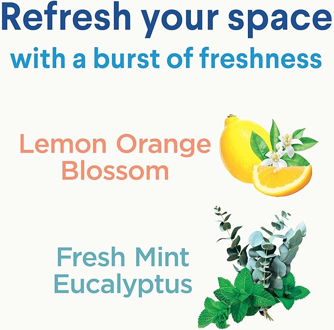 Clorox Disinfecting Mist, Eucalyptus Peppermint, Household Essentials, 1 Spray and 1 Refill, 16 oz Each