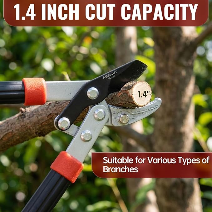 AGRICUT 21" Garden Loppers Anvil - Loppers for Tree Trimming Heavy duty 1.5" Cut Capacity Branch Cutter with Sharp High Carbon Steel Blade for Cutting Branches