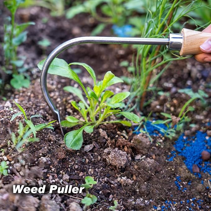 Berry&Bird Weed Puller, Crack Weeder Cultivator Garden Hand Tool, Durable Curved Head Hook & Wooden Handle, Garden Digging, Edging, Planting Remover for Patio Lawn Yard Moss Terrace Paving