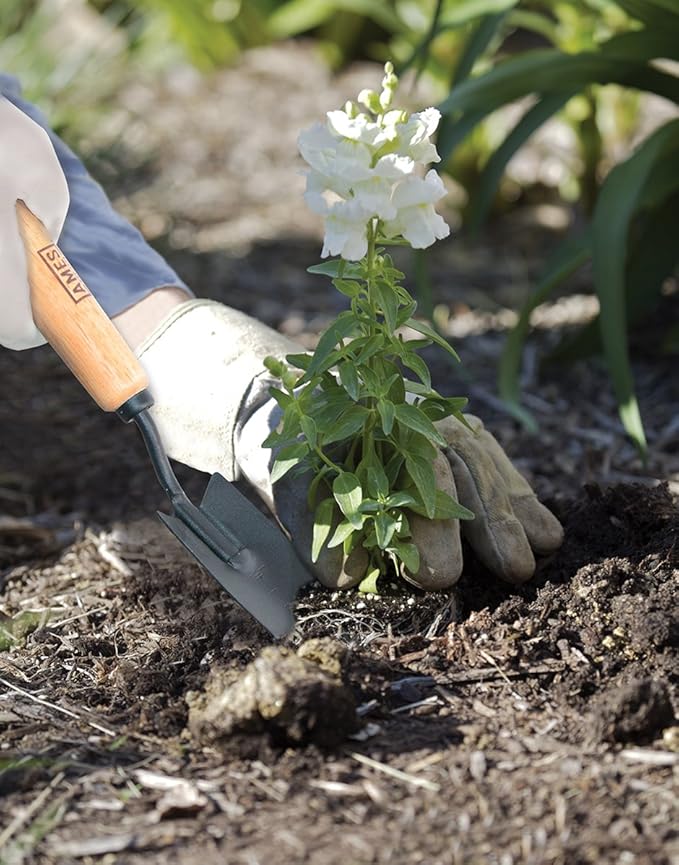 AMES 2446200 Tempered Steel Hand Transplanter with Wood Measurement Handle, 12-Inch