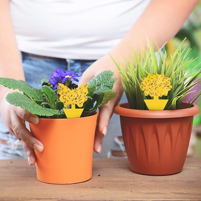40 Pack Fungus Gnat Traps for House Indoor, Fungus Traps Fruit Fly Traps for Indoors Gnats Sticky Traps for Plants Yellow Sticky Traps for Gnats