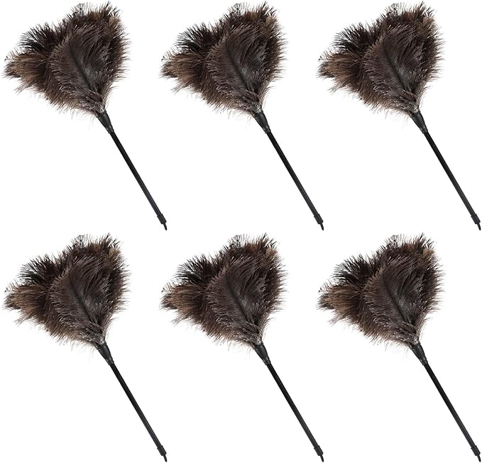 Natural Ostrich Feather Duster 14.9 inch Fluffy Mini Dusters with Plastic Handheld for Cleaning Car Keyboard Office 6 PCS