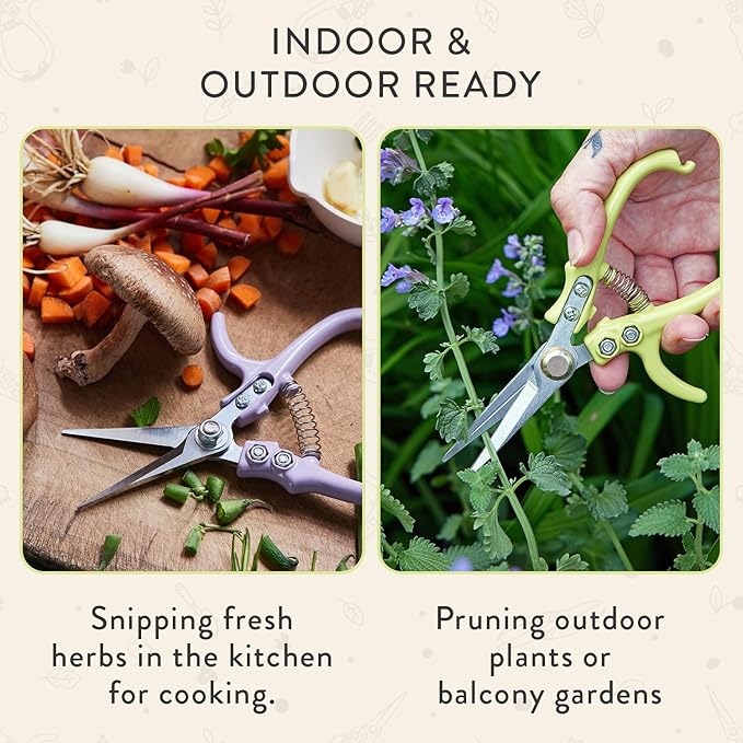 Modern Sprout Pruning Shears - Herb Snipping Scissors- Lightweight Gardening Tools W/Easy Lock - Flower Cutter Garden Shears - Carbon Steel Blade + Reusable Holster (Chartreuse, 1-Pack)