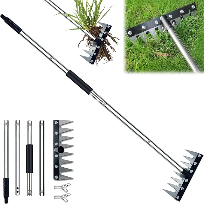 Stainless Steel Weeding Tool - 8 Tine Garden Rake with Adjustable Handle (31"-63"), Heavy Duty Weed Puller for Soil Cultivation, Rust-Resistant Garden Hand Tool