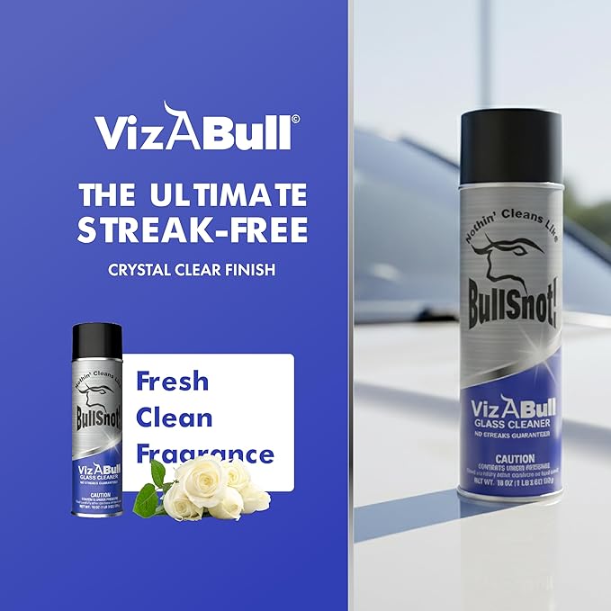 VizABull Glass Cleaner Foam Spray, Streak-Free for Car Windshield, Mirror, Window Cleaning - Heavy Duty for Auto Exterior - Ammonia-Free, No Drip, Quick Dry - 19 Fl Oz, 1 Can