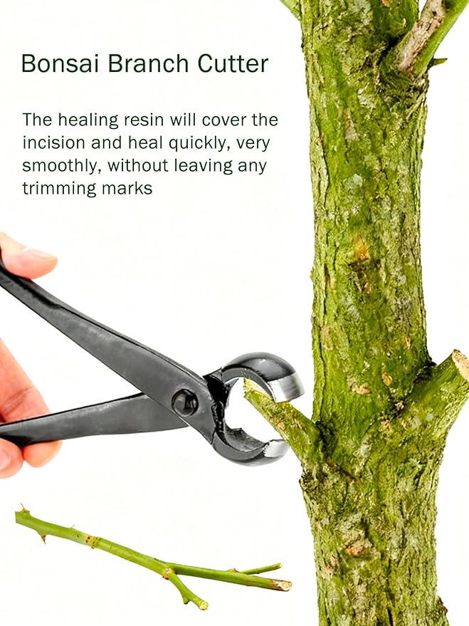Bonsai Concave Cutter, Bonsai Tools Concave Cutter, 8.4 Inch Manganese Steel Alloy Sharp Blade Round Edge Knob Cutter, Gardening Concave Pruner(210mm / 8.27inch)(210mm)