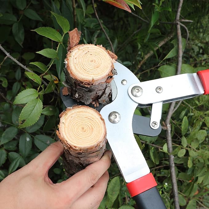 GARTOL 29" Heavy Duty Anvil Lopper, 2-Inch Cutting Capacity Tree Branch Cutter with Compound Action, Effortless Power Loppers for Hardwood & Dry Branches, Ergonomic Non-Slip Handles
