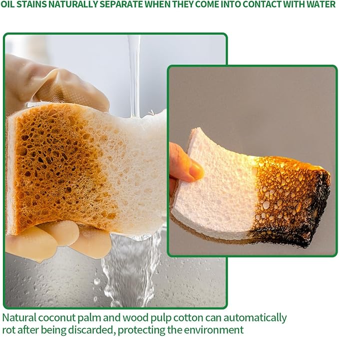 Sponges Kitchen Natural Dish Sponge Plant-Based Biodegradable Compostable Cellulose with Coconut Scrubber Sponge Non Scratch Eco Friendly Kitchen sponges for Kitchen Dishes