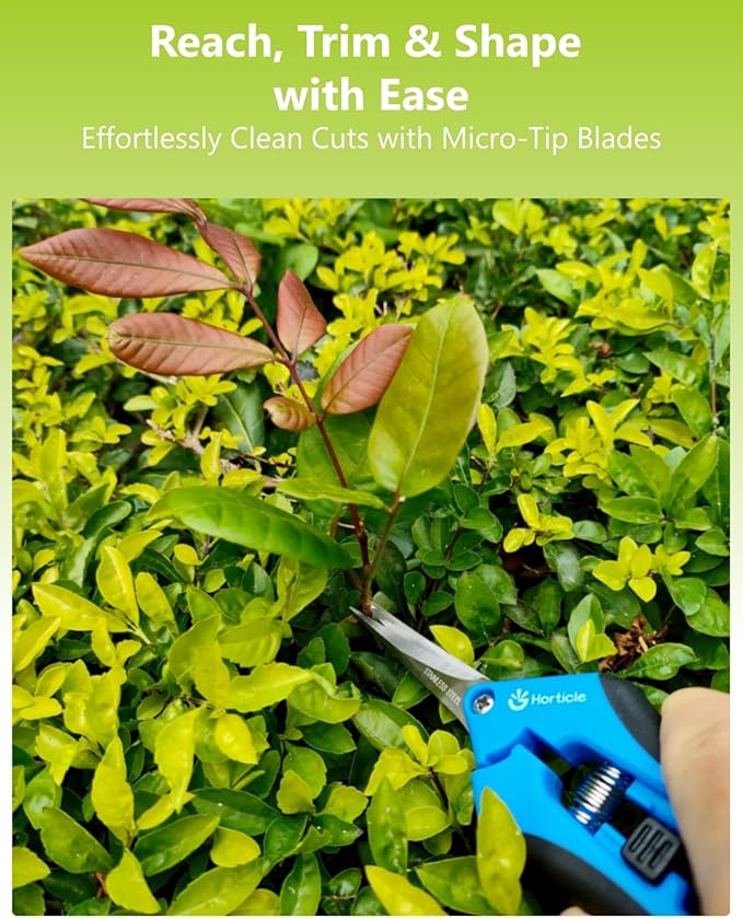 6.5" Garden Scissors Pruning Shears: 2 Pack of Trimming Scissors for Small Plants - High Cutting Efficiency Flower Snips for Gardening