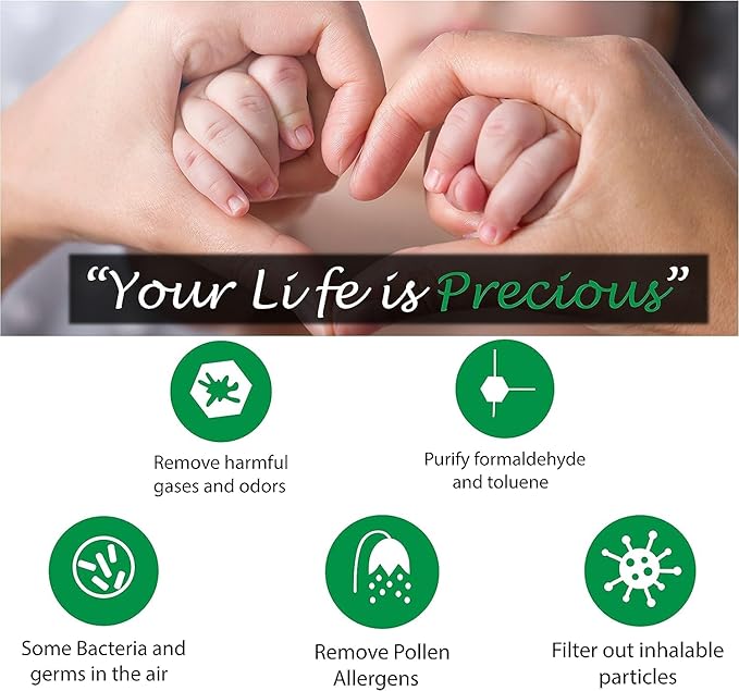 WBM Smart HEPA Filter Air Purifier for Allergies and Pets, Dust, Mold, and Pollen, Smoke and Odor Eliminator, Cleaner for Bedroom, Black