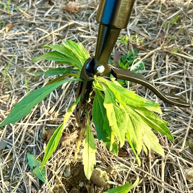 Stand on Weeding Tool, Long Handled Lawn Weeder, Root Removal Tool for Gardening, Yard and Patio Maintenance