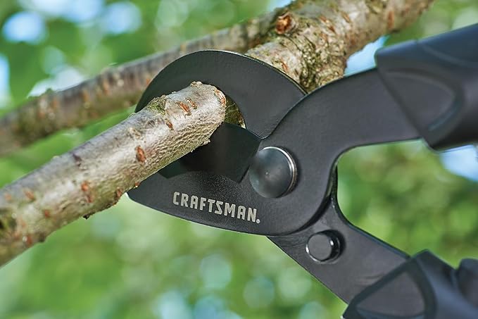Craftsman Bypass Lopper