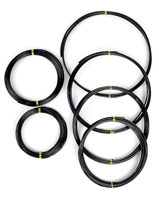 6Pcs Bonsai Wire, 6 Sizes of 1mm, 1.5mm, 2mm, 2.5mm, 3mm, 4mm Black Aluminum Wire, Total 152 Feet Bonsai Tool Kitfor Bonzai Trees Indoor