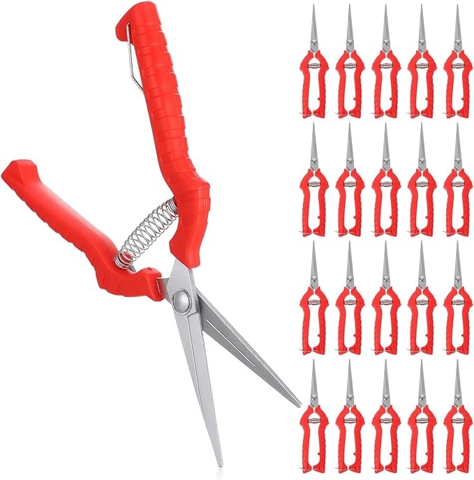 20 Pcs Pruning Shears Bud Trimming Scissors Bulk 8 Inch Pruning Shears Garden Scissors for Precise Cut Bonsai Gardening Hand Pruner with Straight Stainless Steel Blade Pruning Snip for Flower Plant, R