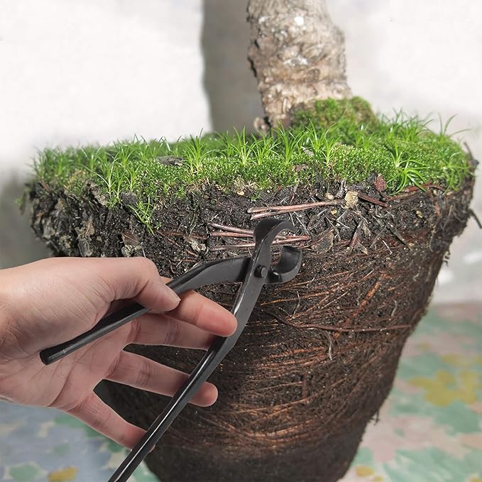 BambooMN 7.5" Root Cutter Tool - 10 Pieces