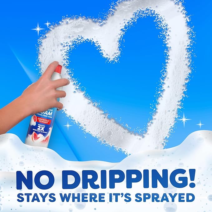 Windex Fast Shine Foam Glass Cleaner Supplies, No-Drip Window & Mirror Aerosol Spray, Streak-Free, Removes Fingerprints, Dust, Dirt & Smoke Film, Grapefruit Scent, 19 oz