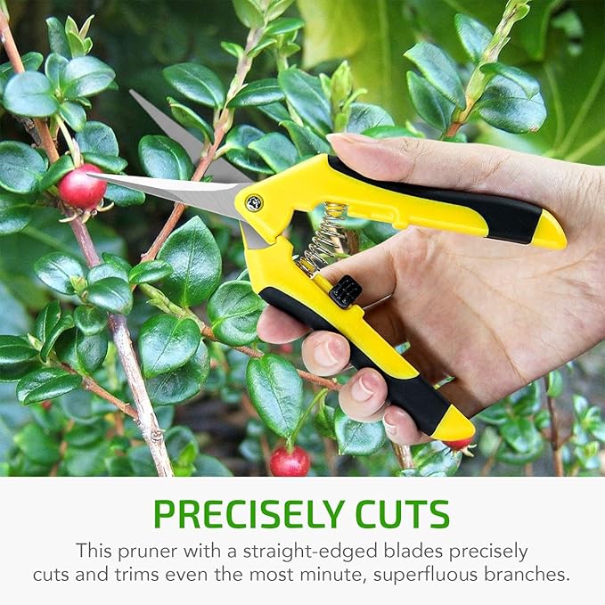 iPower 6.5 Inch Gardening Hand Pruner Pruning Shears Trimming Scissors with Straight Stainless Steel Blades for Bonsai, Herb, Bud, Hedge, 4-Pack, Yellow