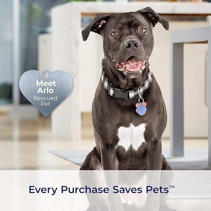 Bissell Professional Spot and Stain + Oxy Portable Machine Formula, 32 oz, Single, 32 Fl Oz