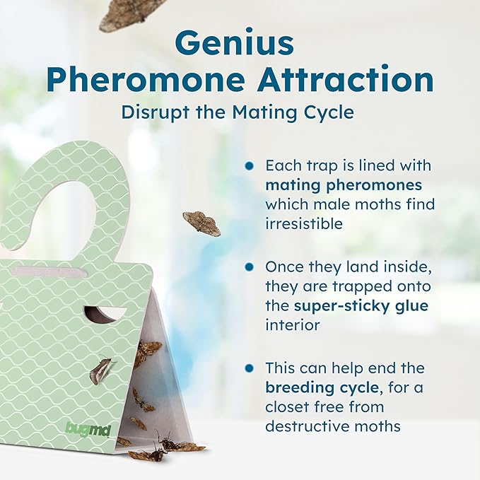 BugMD Clothes & Pantry Moth Traps (18 Count) – Sticky Glue Pheromone-Based Repellent for Closets, Cabinets & Wardrobes – Non-Toxic - Green