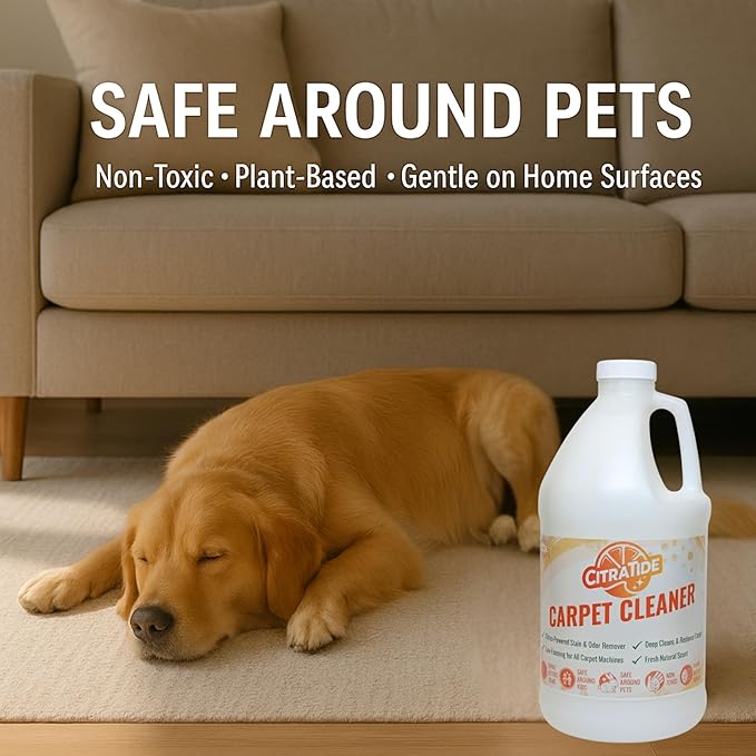 Carpet Cleaner Concentrate + Free Scouring brush – USA Made Enzymatic Citrus Formula for Carpets, Rugs & Upholstery – Eco-Friendly Pet Safe Deep Cleaner