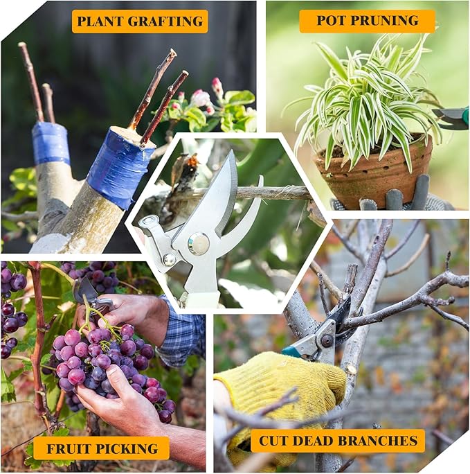 20 Pcs Pruning Shears for Gardening, Beige Garden Clippers Handheld Heavy Duty Plant Scissors Bypass Pruning Shears for Gardening Yard Hedge Flowers Tree Trimming Plant Cutter