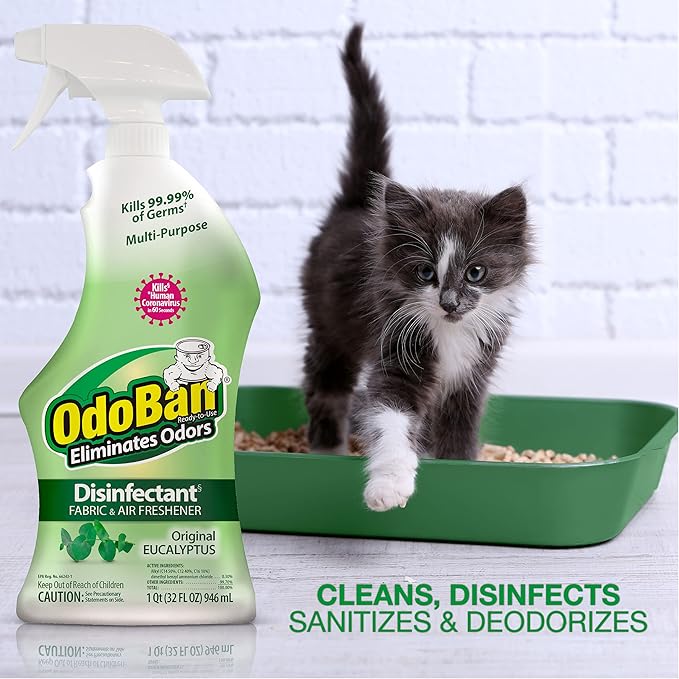 OdoBan Ready-to-Use Disinfectant and Odor Eliminator, Made in the USA, Original Eucalyptus Scent, Set of 2, 32 oz Spray and 1 Gallon Concentrate