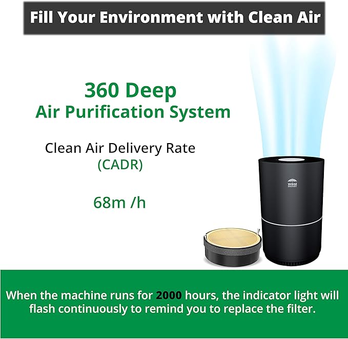 WBM Smart HEPA Filter Air Purifier for Allergies and Pets, Dust, Mold, and Pollen, Smoke and Odor Eliminator, Cleaner for Bedroom, Black
