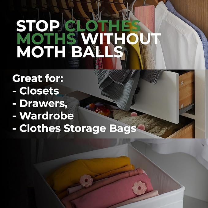 Professor Killamoth 61 Pack Cedar Blocks, Sachets, Rings, Balls - Stop Clothes Damage - The Ultimate Cedar Collection to Protect Your Clothes