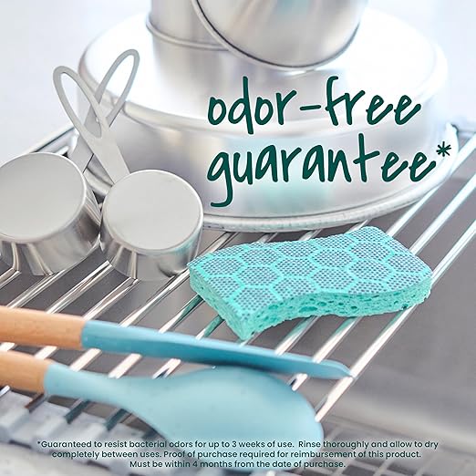 Scotch-Brite Odor Resist Heavy Duty Scrub Sponge, Dishwasher-Safe Kitchen sponges for Serious Scrubbing, Multipurpose Dish Sponge for Stuck-On Messes, 6 Scrubbing Sponges