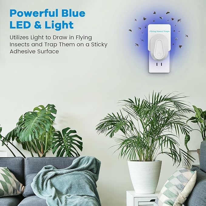 Indoor Fly Trap Plug-in Insect Traps Fruit Fly Traps 2 Devices with 6 Refills for Indoors Gnat Killer for House Flies, Flying Bugs, Moths, Mosquitoes (2 Devices with 6 Refills)