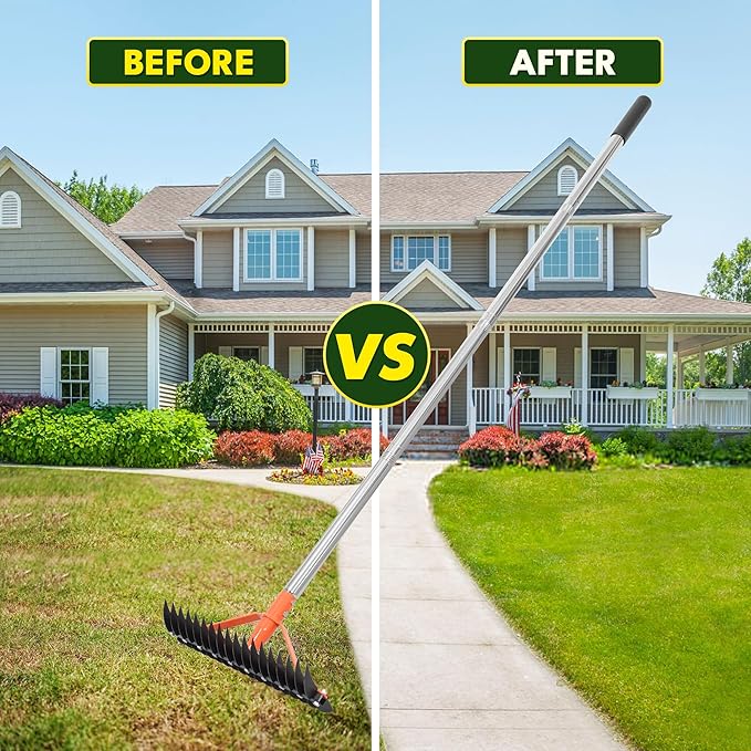 Thatch Rake for Lawns 18 Sharp Tempered Spring Steel Tines Dethatcher Rake Heavy Duty Dethatching Rakes with 62.5" Adjustable Stainless Steel Handle for Lawn Care，Dead Grass, Garden, Yard