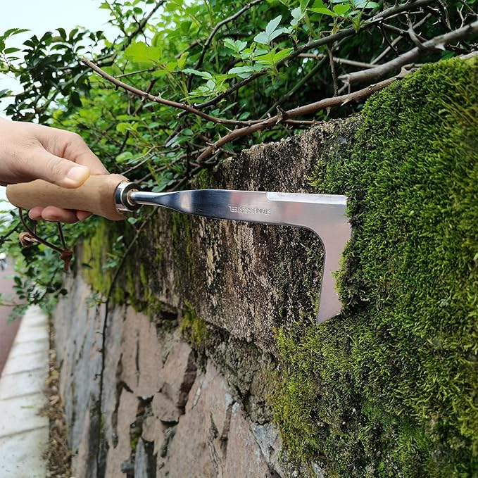 Crack Weeder, Crevice Weeding Tool with Upgrade Sharp Hook Point, L-Shaped Weed Puller Tool with Beech Wood Handle, Efficient Manual Weeder for Sidewalk, Paver, Narrow and Wall Gaps