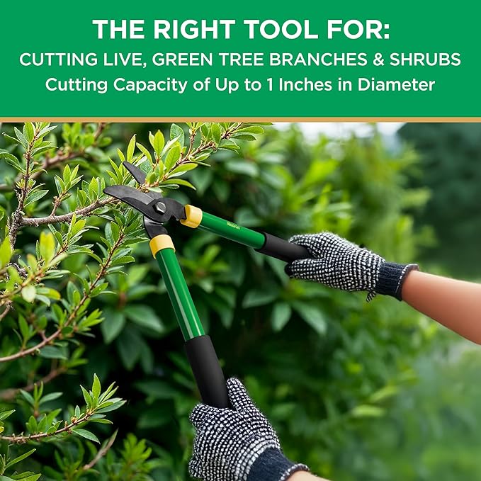 Miracle-Gro 15 in. Bypass Lopper for Tree Branch Trimming and Pruning – Heavy-Duty Branch Cutter with Ultra-Sharp Carbon Steel Blade, 1 in. Cutting Capacity and Comfort Grip Handles