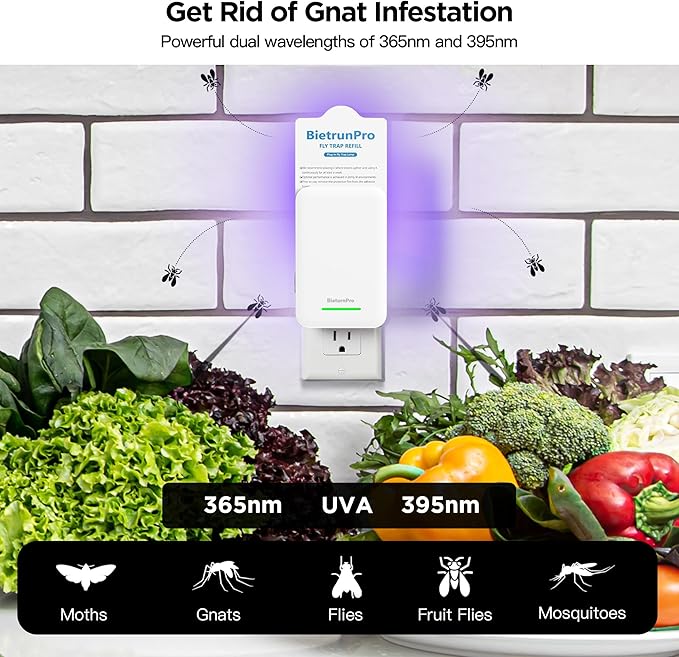 Fly Traps Indoors(1 Device+5 Refills), Gnat Traps for House Indoor, 3-in-1 UV/Blue/Yellow Light Plug-in Flying Insect Catcher Bug Zapper, Fruit Fly Killer, NAT Killer, Get Rid of Gnat Infestation