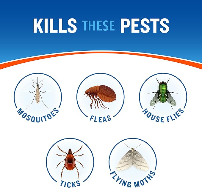 Cutter Backyard Bug Control Spray Concentrate (6 Pack), Kills Mosquitoes, Fleas & Listed Ants, 32 fl Ounce