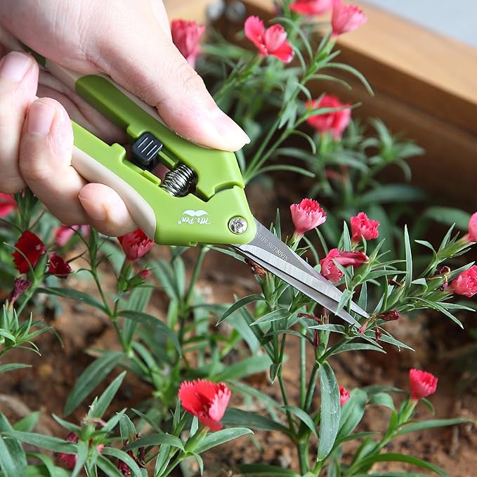 Mr. Pen- Gardening Scissors, 6.5 Inch, Green, Pruning Shears for Gardening with Straight Stainless Steel Blade, Plant Trimming Scissors, Garden shears, Garden Scissors, Gardening Shears, Hand Pruners