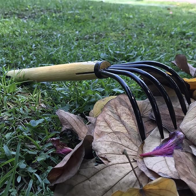 15"Garden rake, 5-Prong Steel Leaf Rake with Solid Wood Handle for Gardening, Beach Combing & Soil Loosening